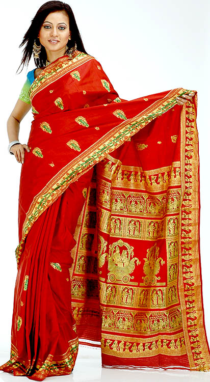 un modello classico di Sari indiano