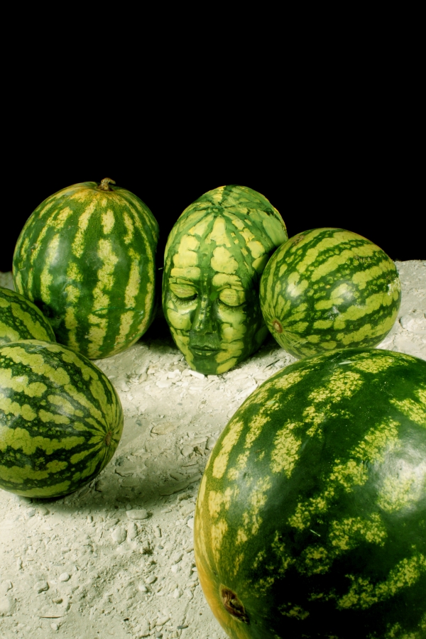 Testa Melone